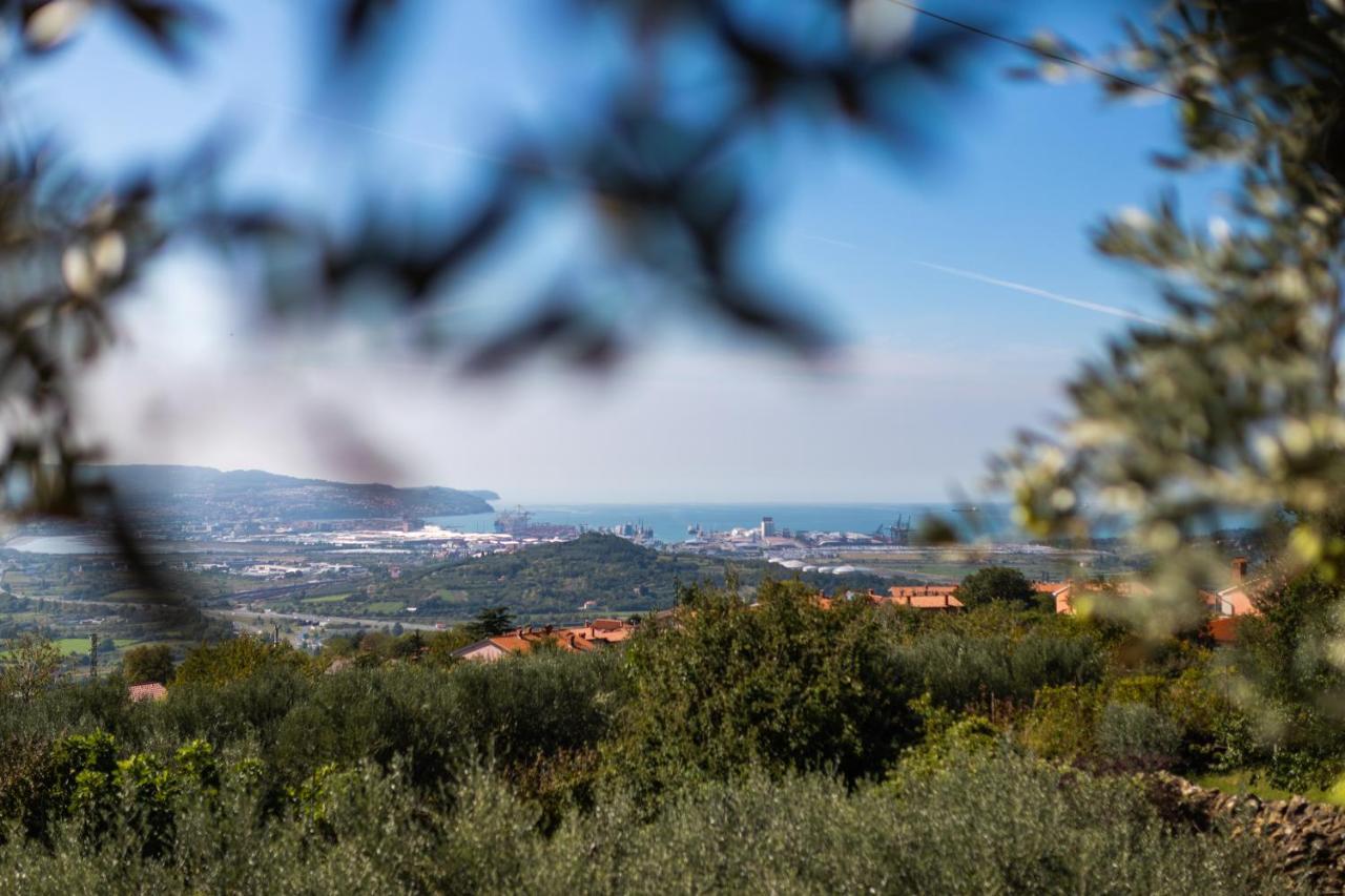 Villa Emi Zgornje Skofije Bagian luar foto