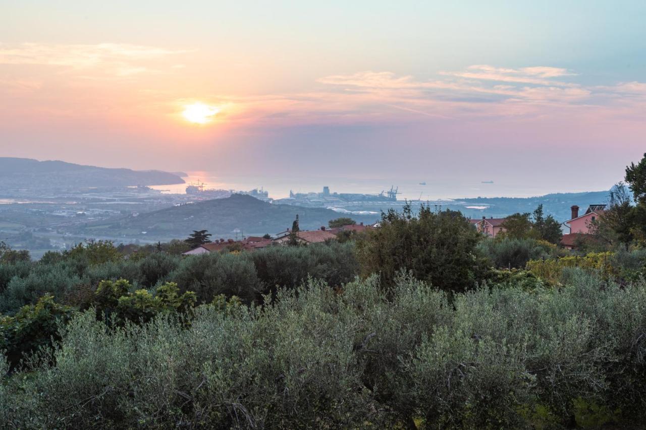 Villa Emi Zgornje Skofije Bagian luar foto